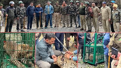 Leopard hunted 2 Children caught after 2 Months, Dehradun Mussoorie News man eater Leopard caught after Three Months 12 cages and 40 trap cameras Installed