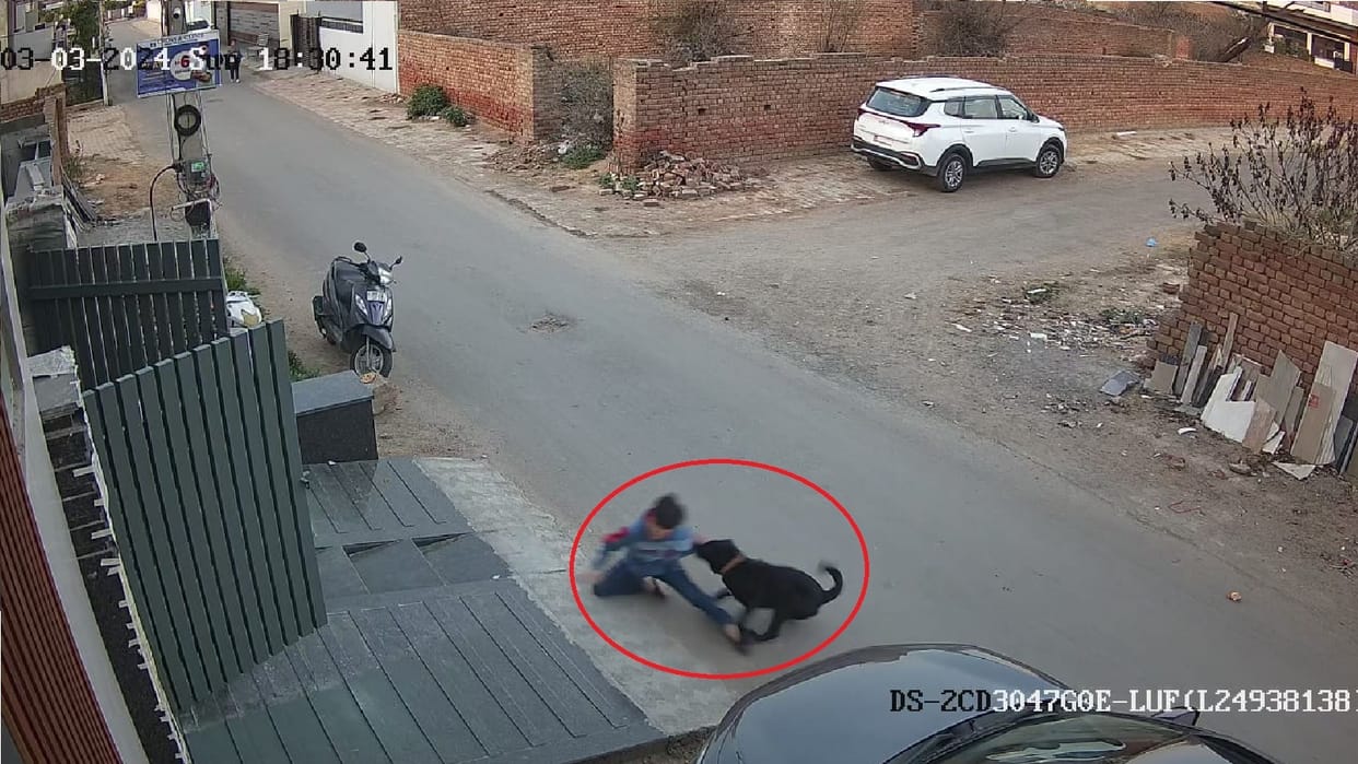 Child badly bitten by dog in Fatehabad, CCTV footage also surfaced, case registered against owner