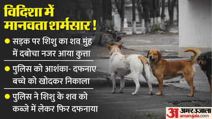 Vidisha News: The dog was roaming around holding the dead body of a newborn baby, people were busy in video