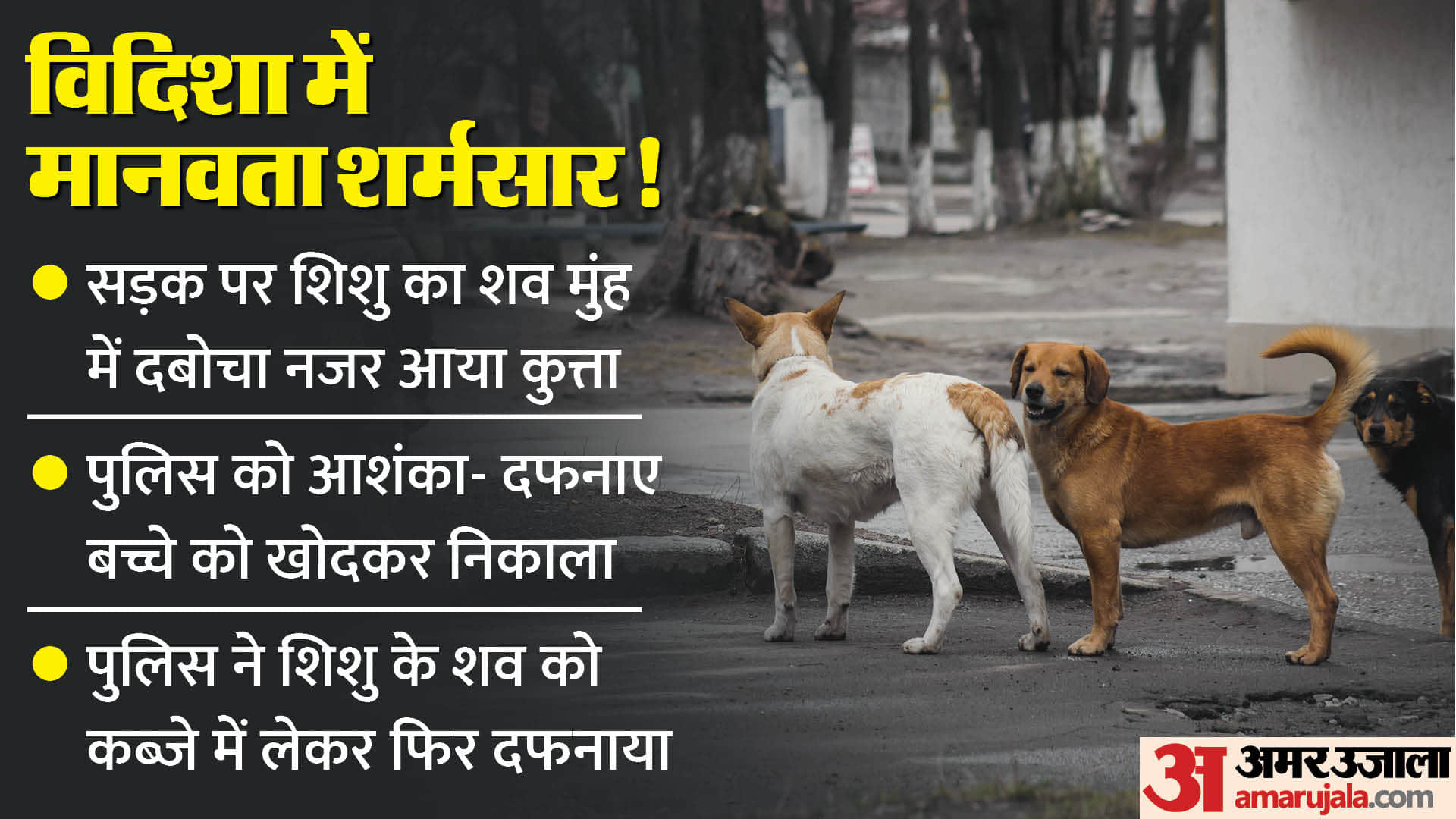 विदिशा में नवजात का शव लेकर सड़क पर घूम रहा था कुत्ता।