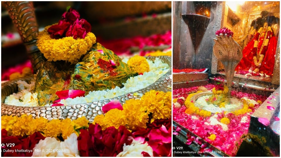 Mahashivratri 2024 Omkareshwar Darshan Time Today Madhya Pradesh Khandwa Shiv Temple News in Hindi