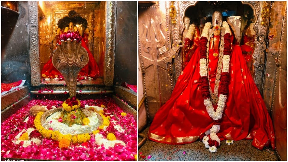 Mahashivratri 2024 Omkareshwar Darshan Time Today Madhya Pradesh Khandwa Shiv Temple News in Hindi