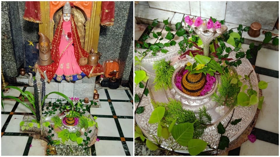 Mahashivratri Troubles go away by visiting Amarkatheshwar Mahadev Temple in Anuppur