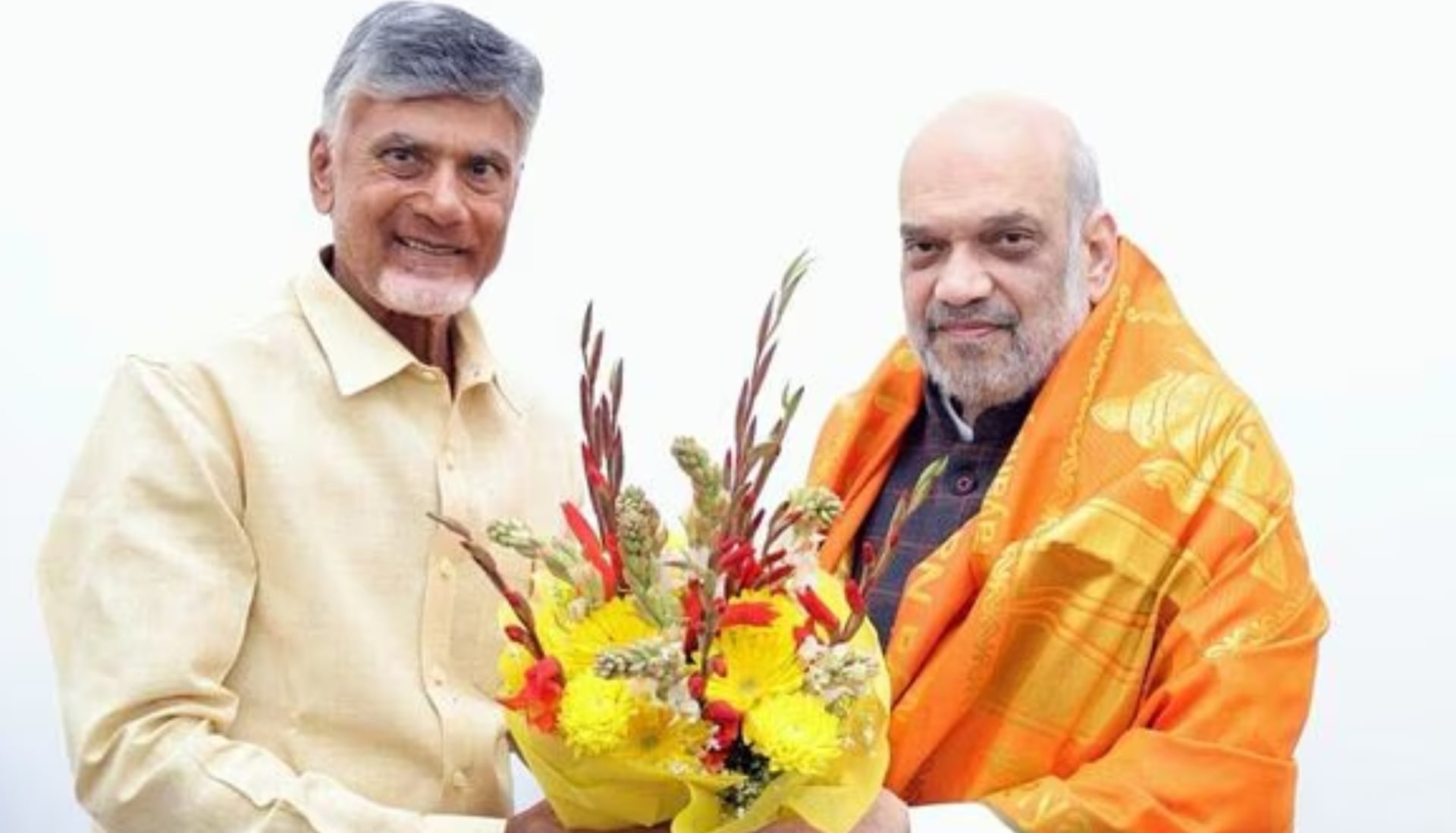 चंद्रबाबू नायडू और अमित शाह