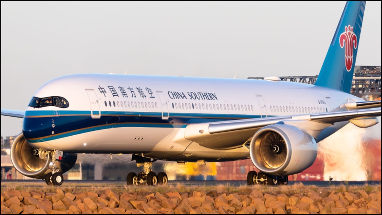 passenger throwing coins into the aeroplane engine flight delayed by over four hours