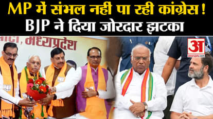 13 leaders of mp congress joined bjp before lok sabha election 2024