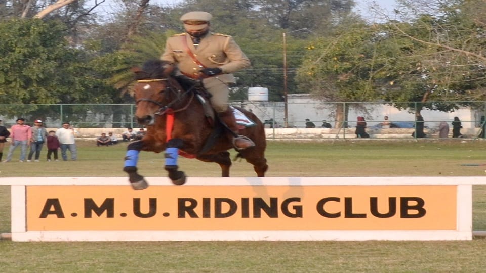 Horse show in AMU