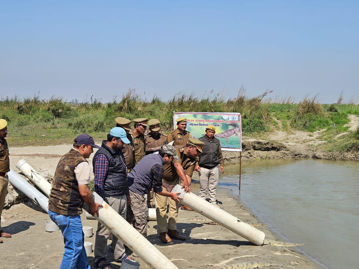 75 crocodile cubs were released into Ganga in Hastinapur of Meerut