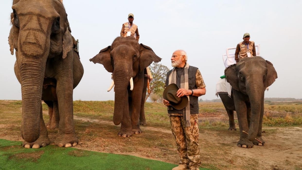 Assam: Narendra Modi at Tea Garden Kaziranga National Park large number of elephants there