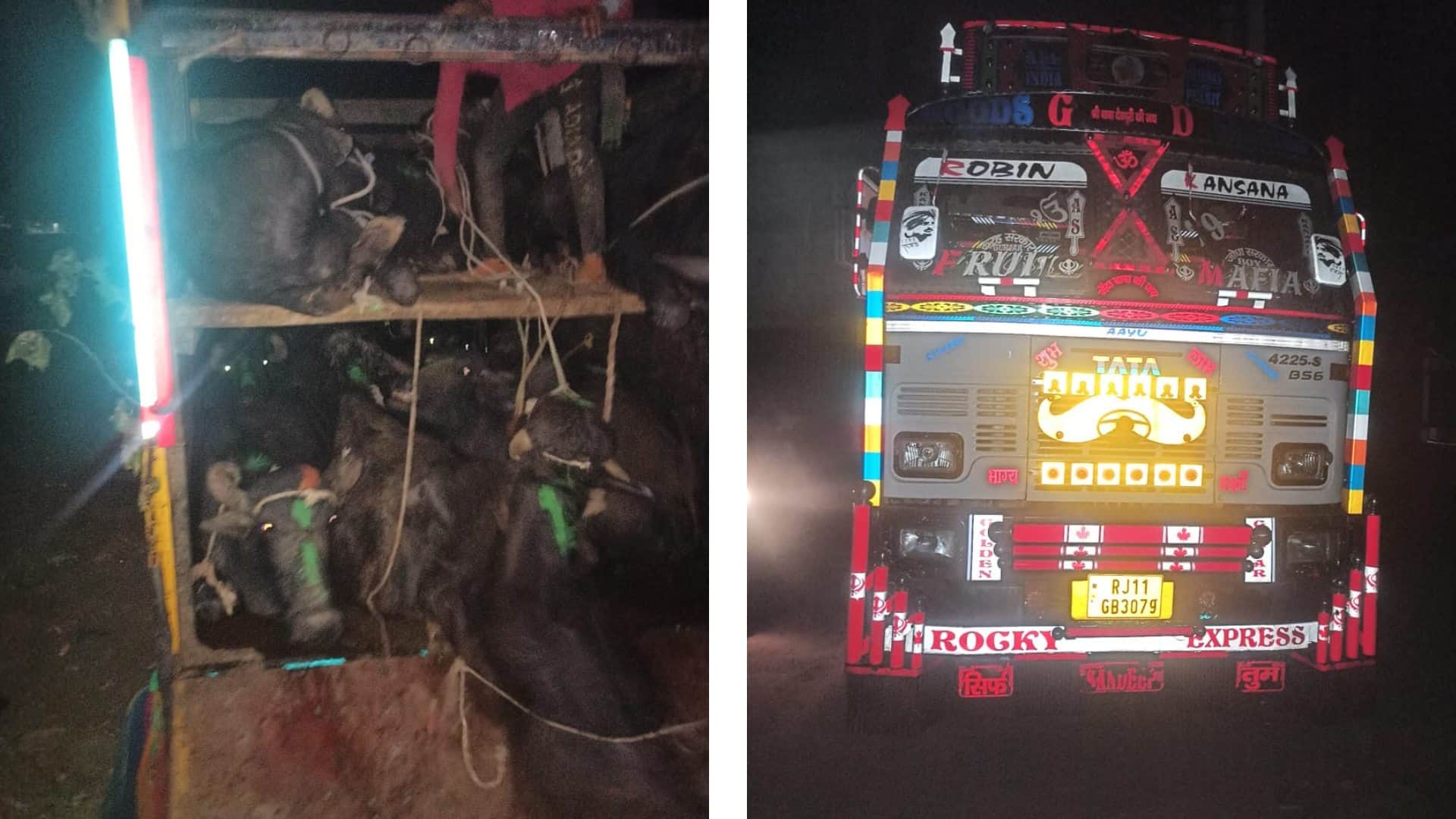 पशुओं की तस्करी से भरा ट्रक पुलिस ने पकड़ा
