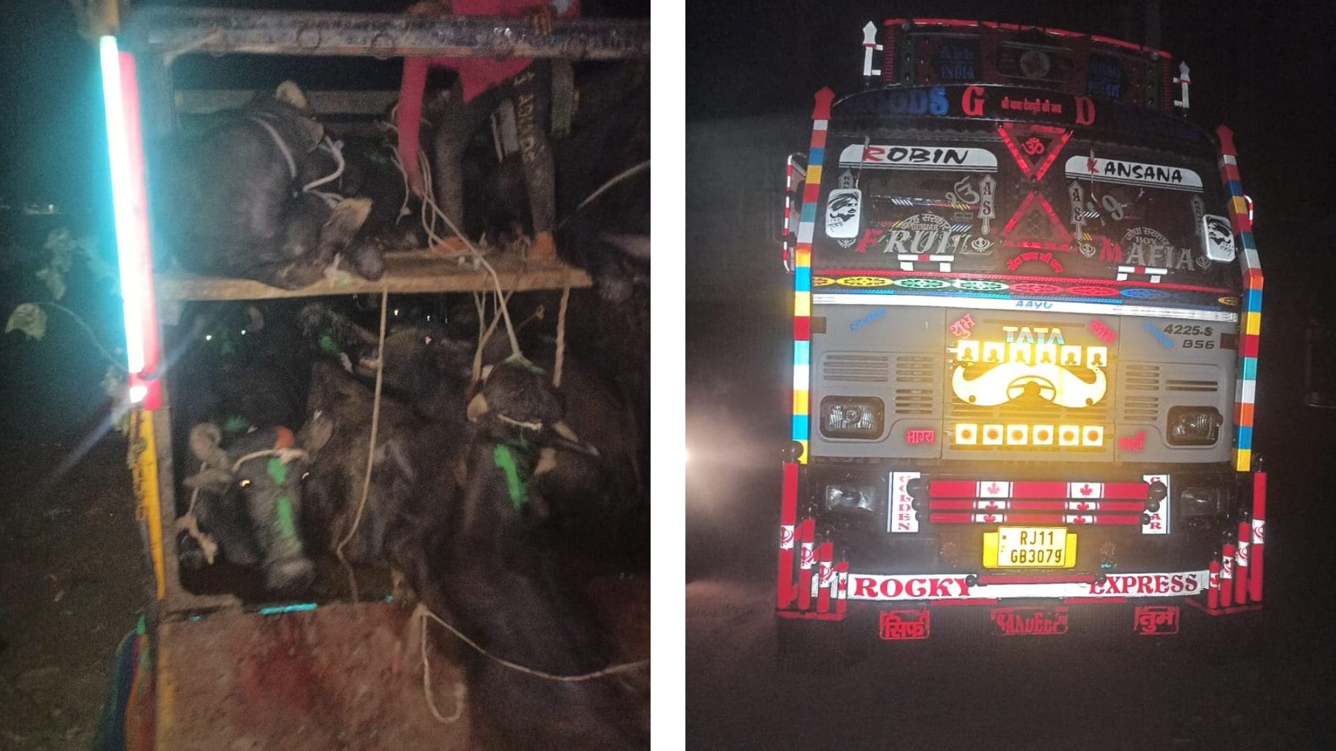 पशुओं की तस्करी से भरा ट्रक पुलिस ने पकड़ा