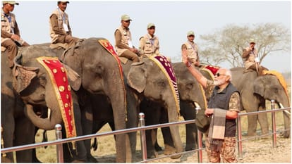 Tourist interest in Kaziranga National Park increased after PM Modi visit