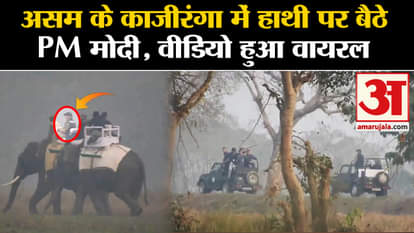 PM Modi Viral Video: PM Modi sitting on elephant in Kaziranga National Park, video went viral l Assam