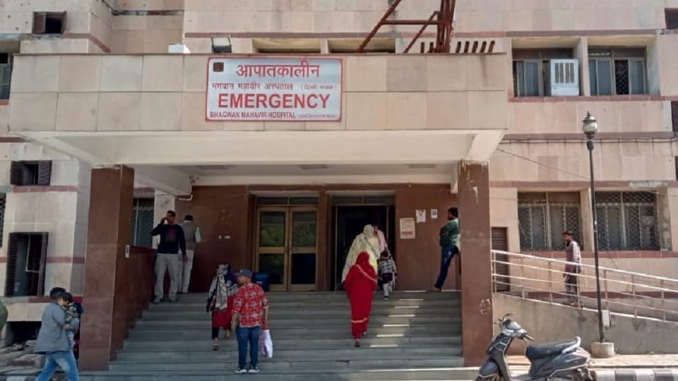 110 people fall ill after eating dishes made from buckwheat flour