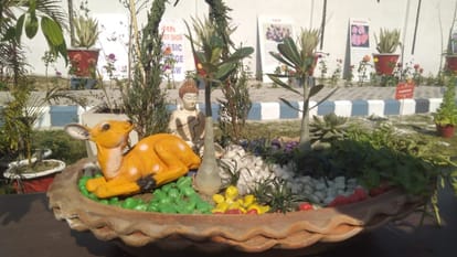 People were stunned to see Bonsai trees in the flower exhibition