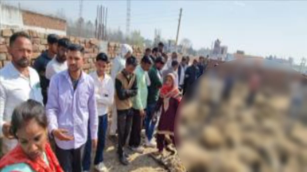 Saharanpur: dogs attacked, more than eighty sheep died, feefteen injured