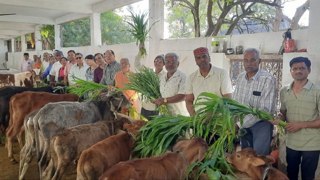 Importance of service explained on Amavasya