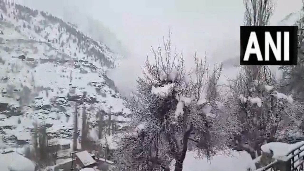 Himachal Weather Update Fresh Snowfall In High Altitude Areas Of Lahaul Spiti Know Imd 0294