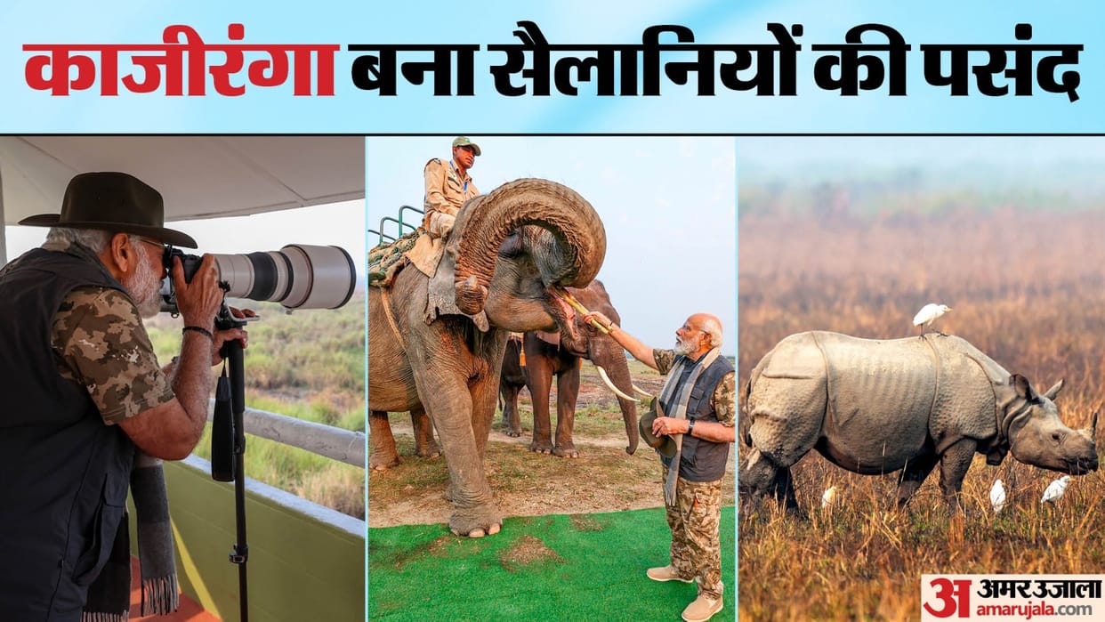 Tourist interest in Kaziranga National Park increased after PM Modi visit