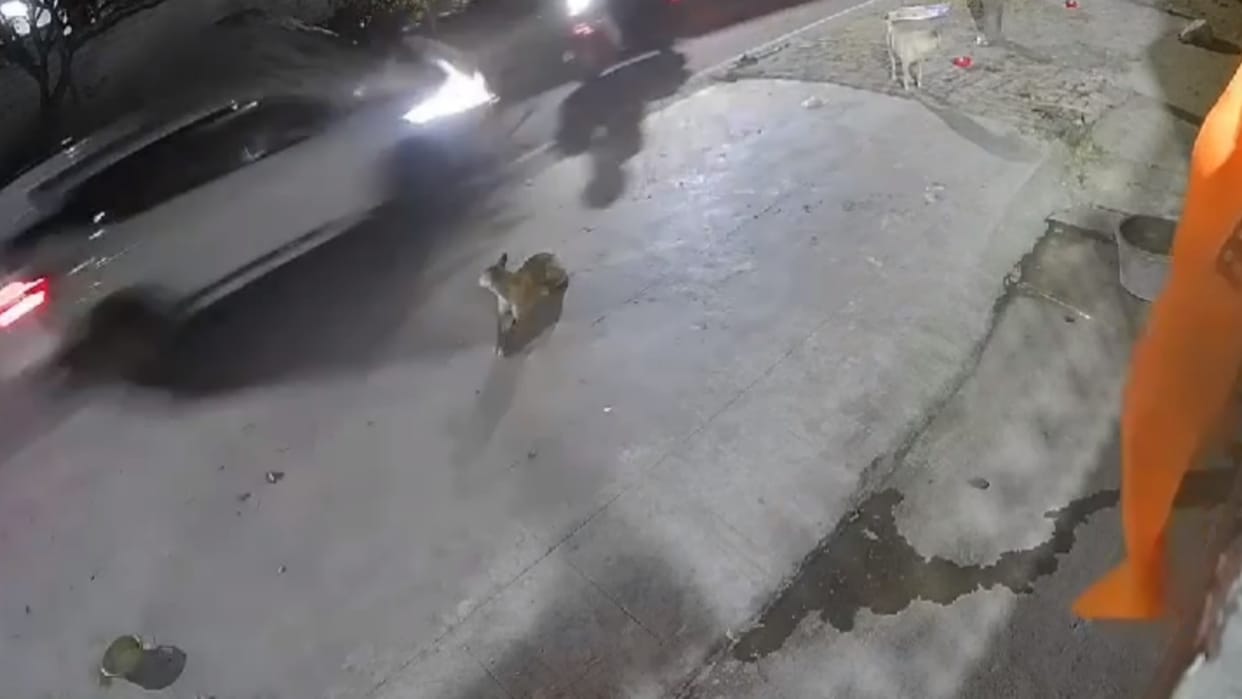 A car trampled two in Mahanagar in Lucknow.