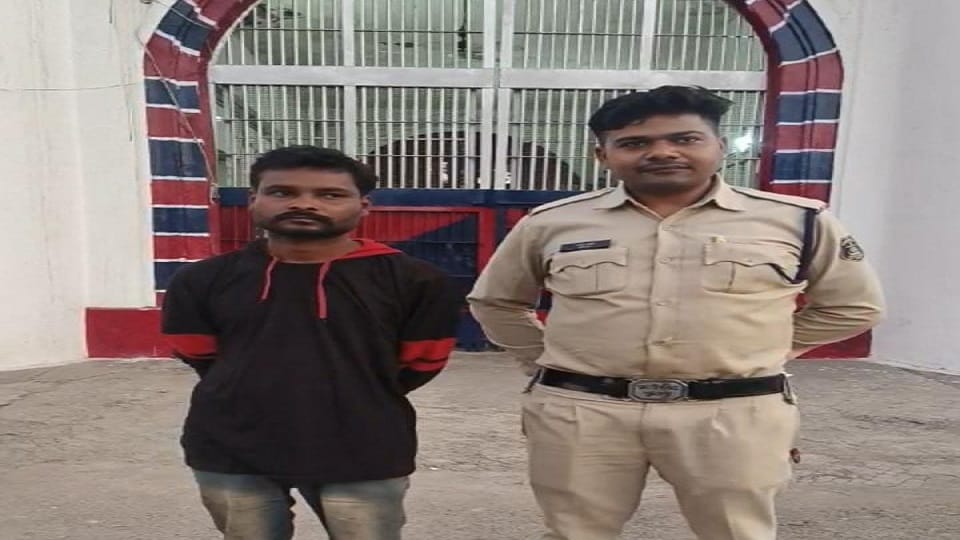 Police arrested a person stealing chicken in Korba