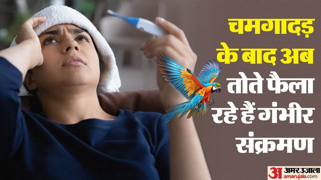 parrot fever outbreak in europe five dead know Psittacosis causes and symptoms in hindi