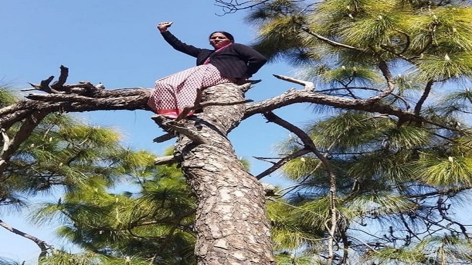 Anganwadi workers climbed trees with their demands in champawat