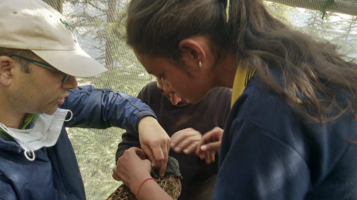 life experience of wild life science student and environment in india