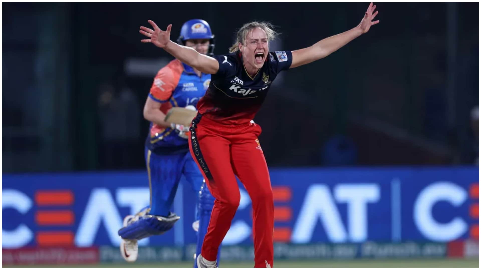 WPL 2024: Murali Vijay Once Wanted To Go On Dinner With Ellyse Perry, She Replied