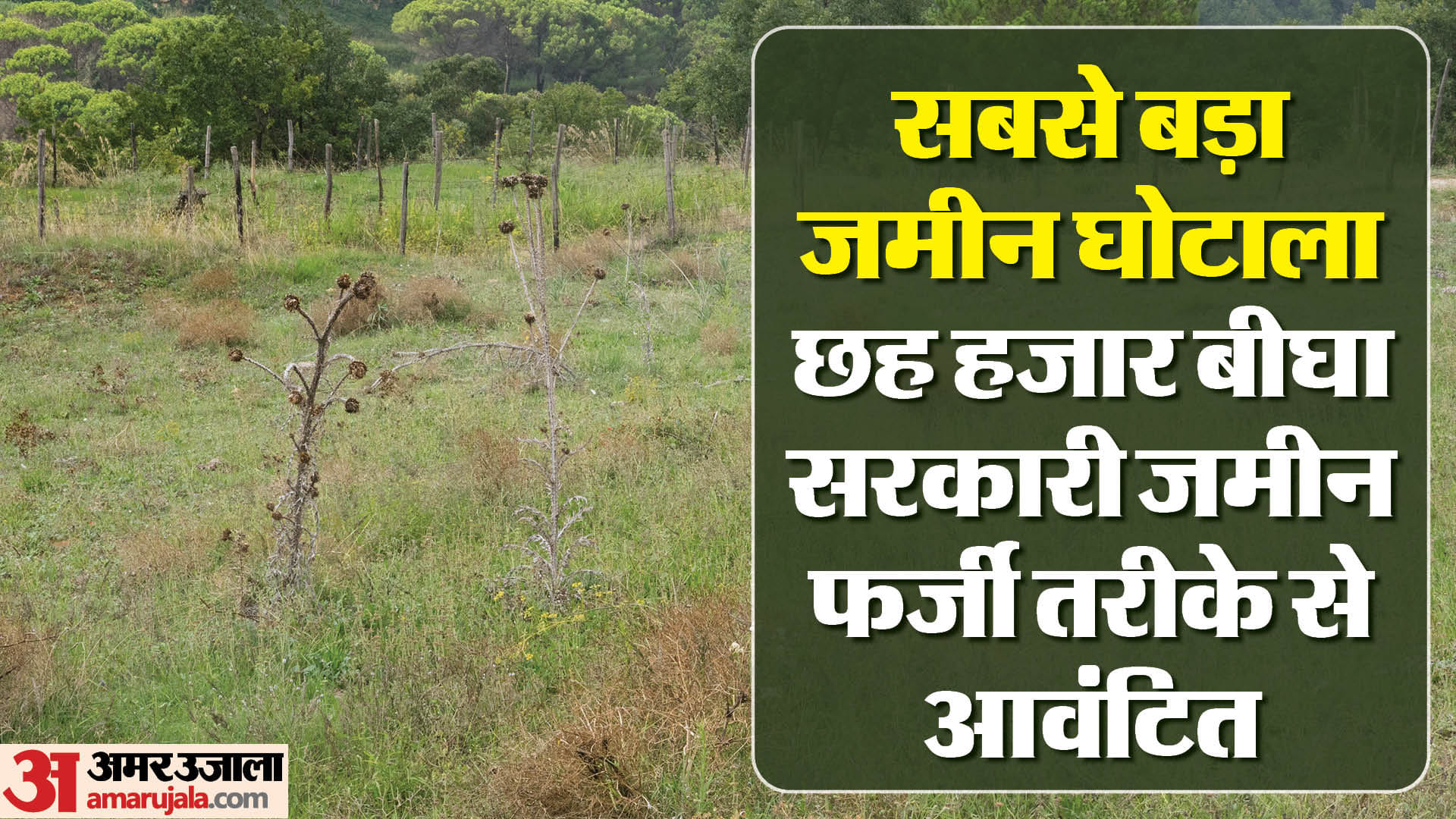 जमीन घोटाला