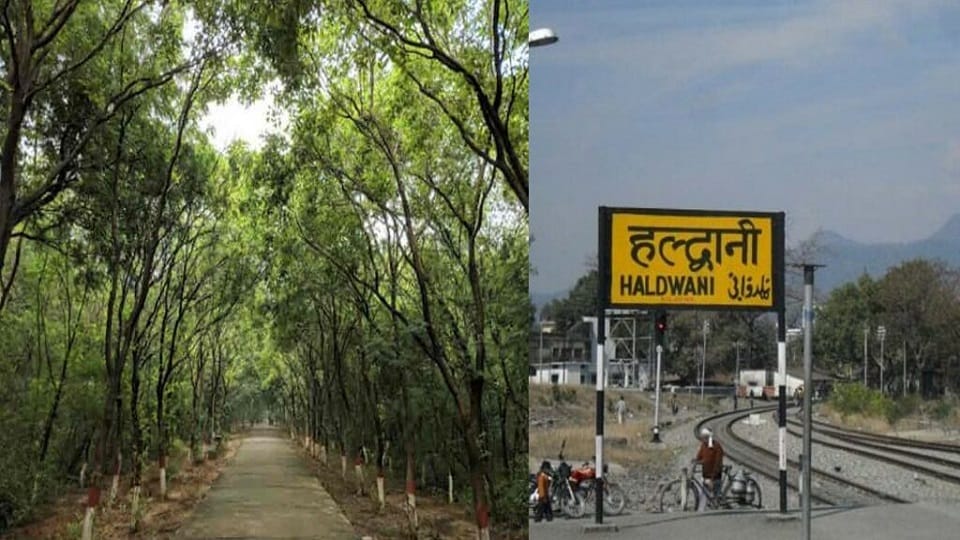 Uttarakhand News: IFS couple gets transferred before understanding the work in haldwani