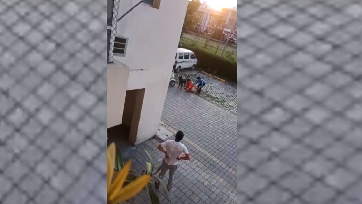 A dog attacked on a woman in sunbreeze apartment in BBD Green Lucknow.