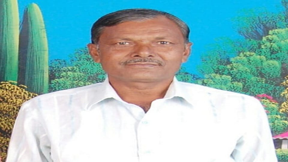 Artist dies after being hit by Loader Max