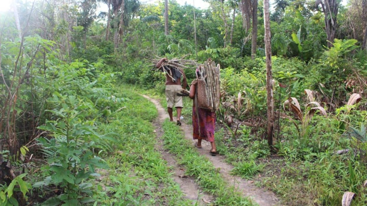 Developmental activities for forest rights holders impeded in some cases: Centre to states