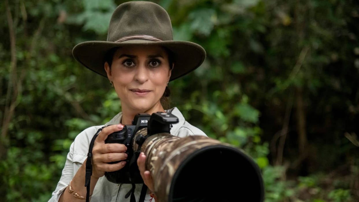 Journey of the lioness of the jungle: From the valleys of Kashmir to the dense forests