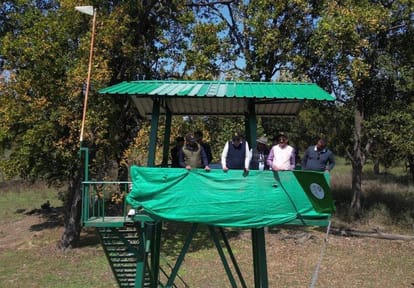 Dehradun News Tigress left in forest of Motichur range with GPS collar Today