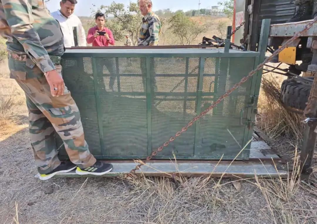 Indore: A man caught in a cage came to eat food kept in a cage in the Kate complex of Indore.