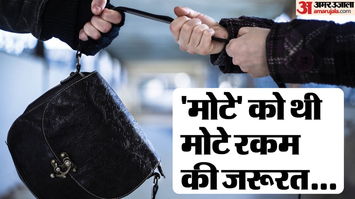 To pay the loan cook of the dhaba started snatching in delhi