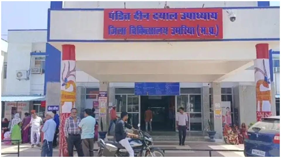 umaria News: Bike of outsourced employees in electricity department collides with tree 2 youths died