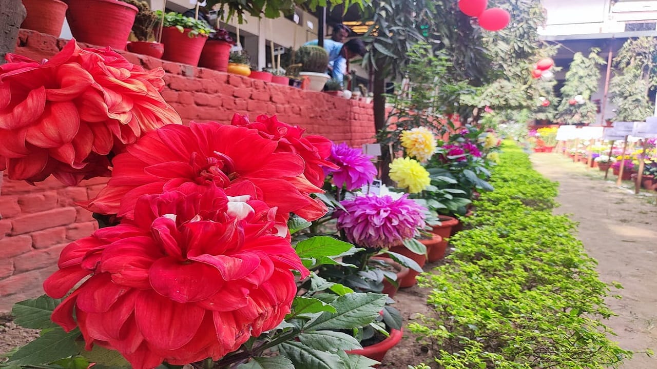 flower exhibition at Amar Ujala campus in Bareilly