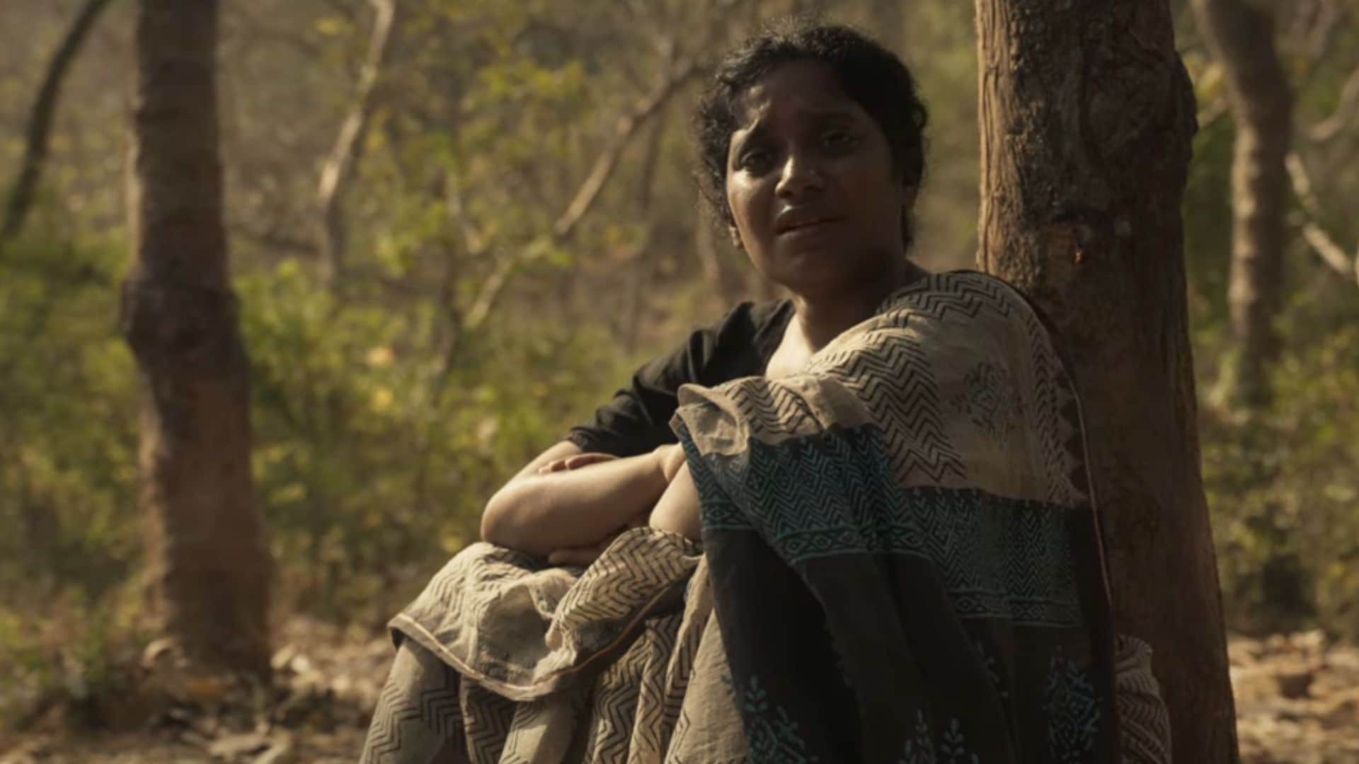 Tuesday Box Office Collection yodha shaitaan artical 370 bastar the naxal story latest earning and occupancy