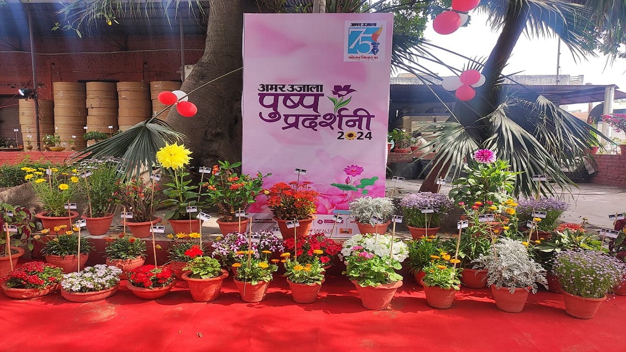 flower exhibition at Amar Ujala campus in Bareilly