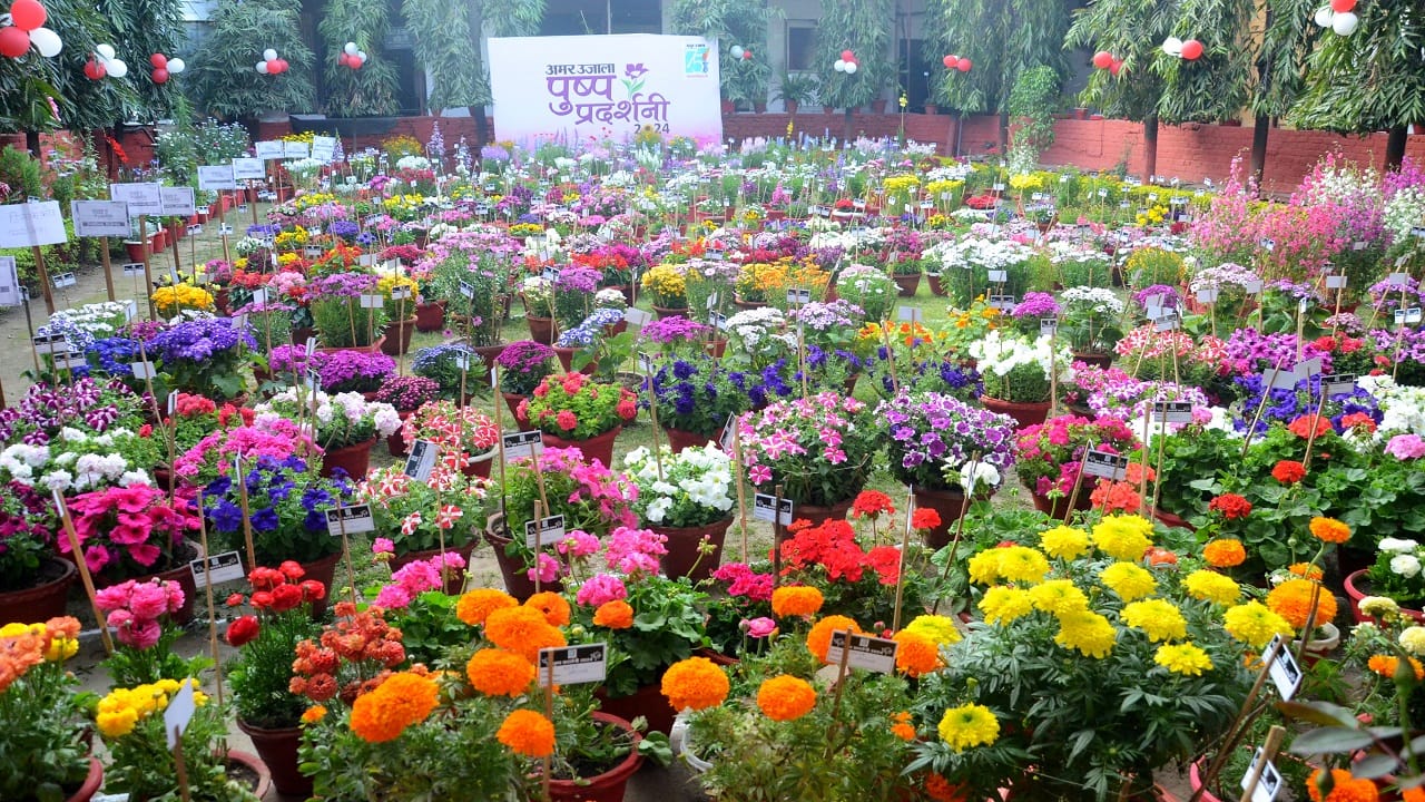 flower exhibition at Amar Ujala campus in Bareilly