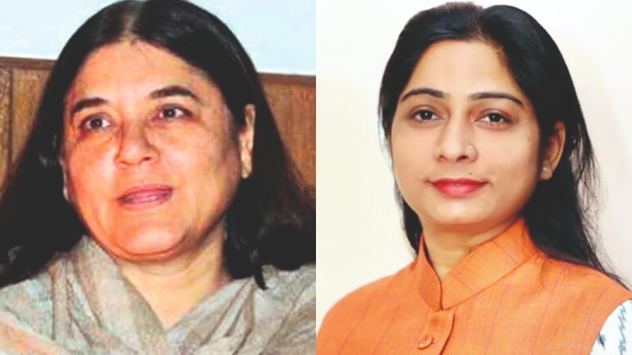 only five women have been elected MP in Bareilly division till now