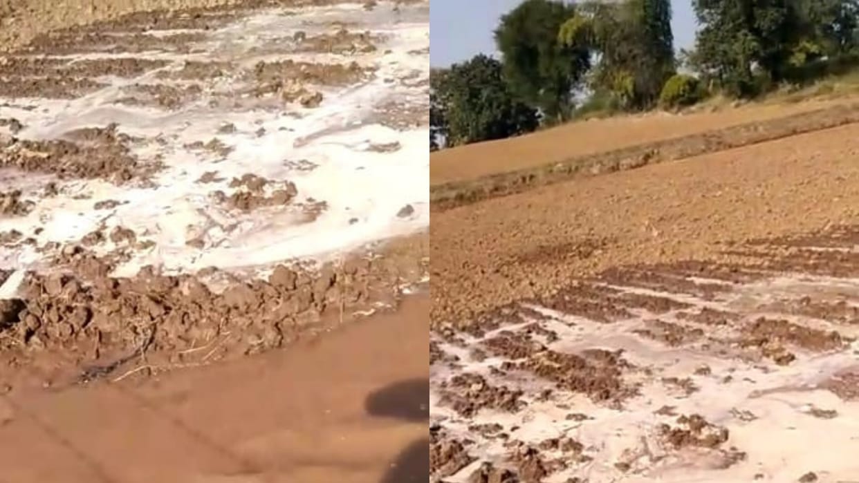 Damoh Due to leakage of line of Satdharu scheme in Deori Liladhar village fields filled with water