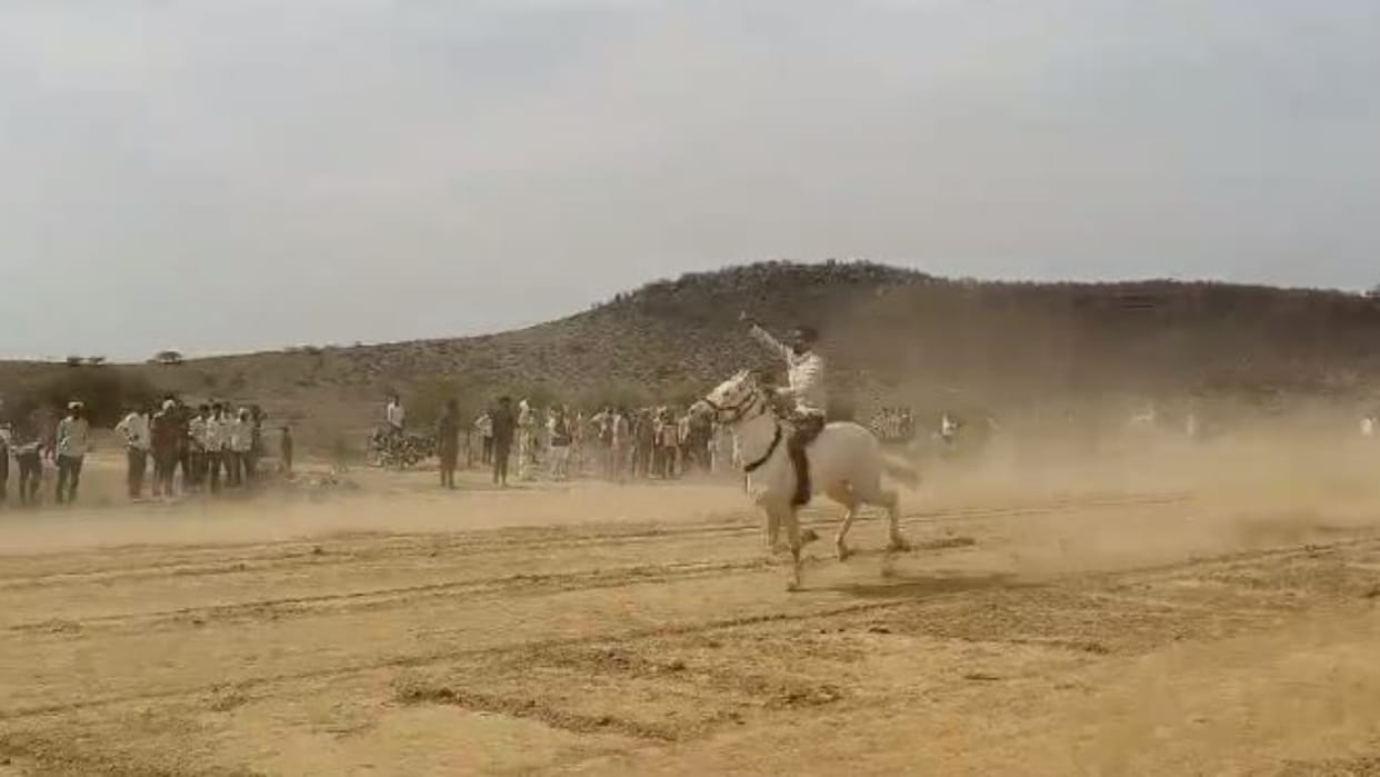 Gwalior News Animal Olympics organized for first time