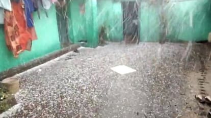 अनूपपुर में बारिश