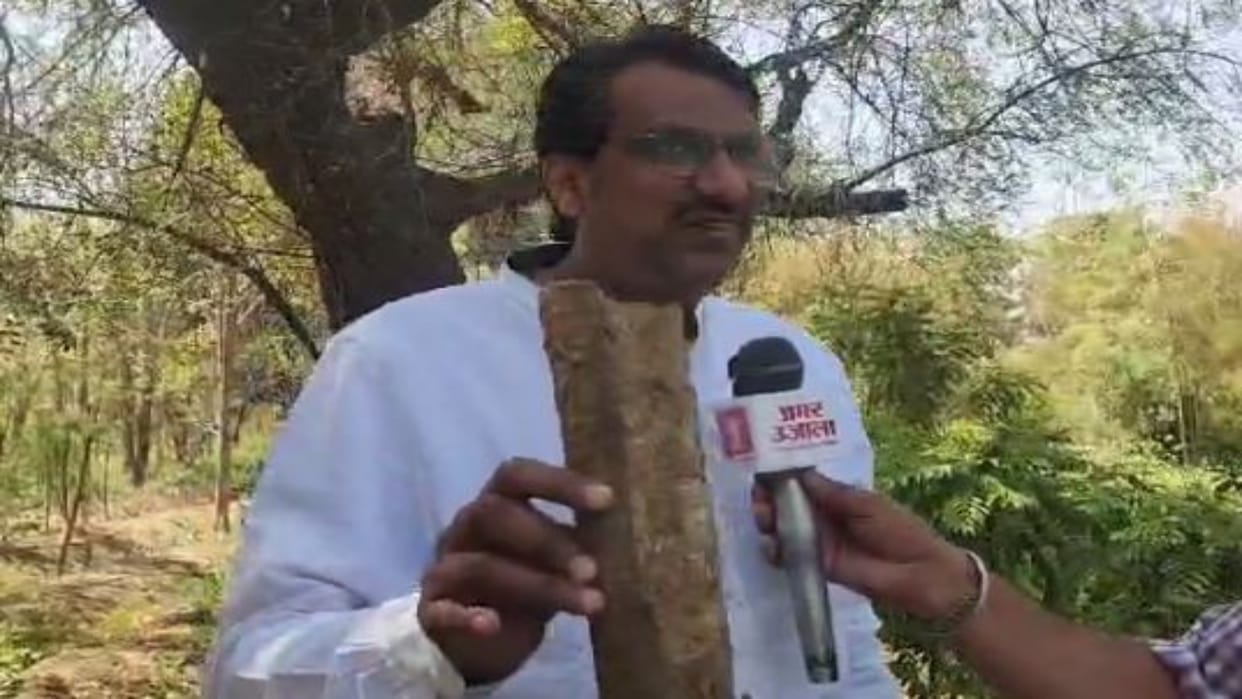 Rajasthan News: Holika Dahan with cow wood at 500 places in Jaipur, 200 tonnes will be sent to Gujarat