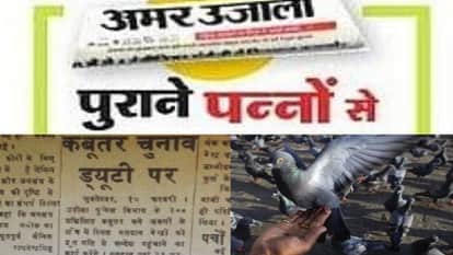 चुनाव का वो दौर...जब कबूतर भी करते थे चुनावी ड्यूटी