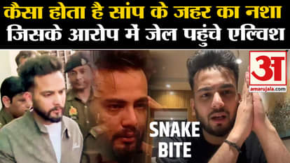 Know about Snake Venom how it is used as drug